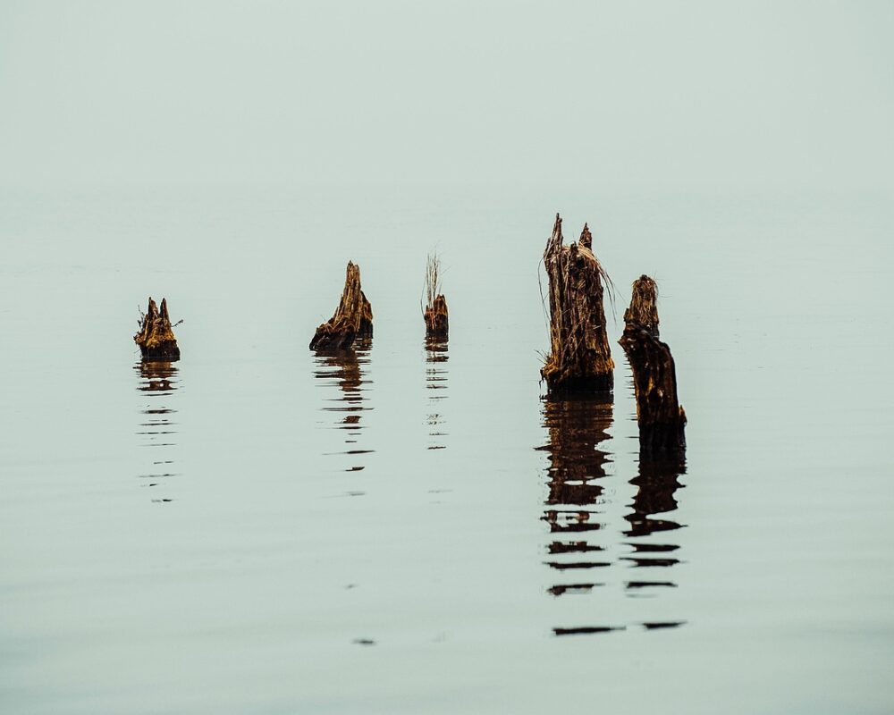 Att omfamna en balanserad livsstil för helhetshälsa - Bild.