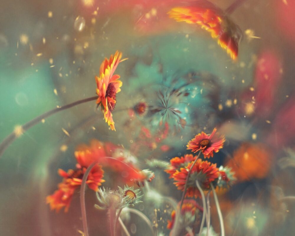 Naturliga vägar till välbefinnande - Bild.