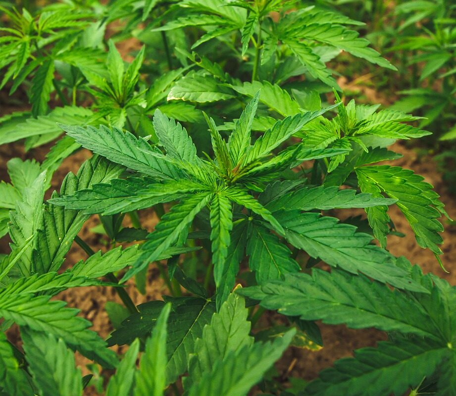 Integrera mindfulness för hälsa och balans - Bild.