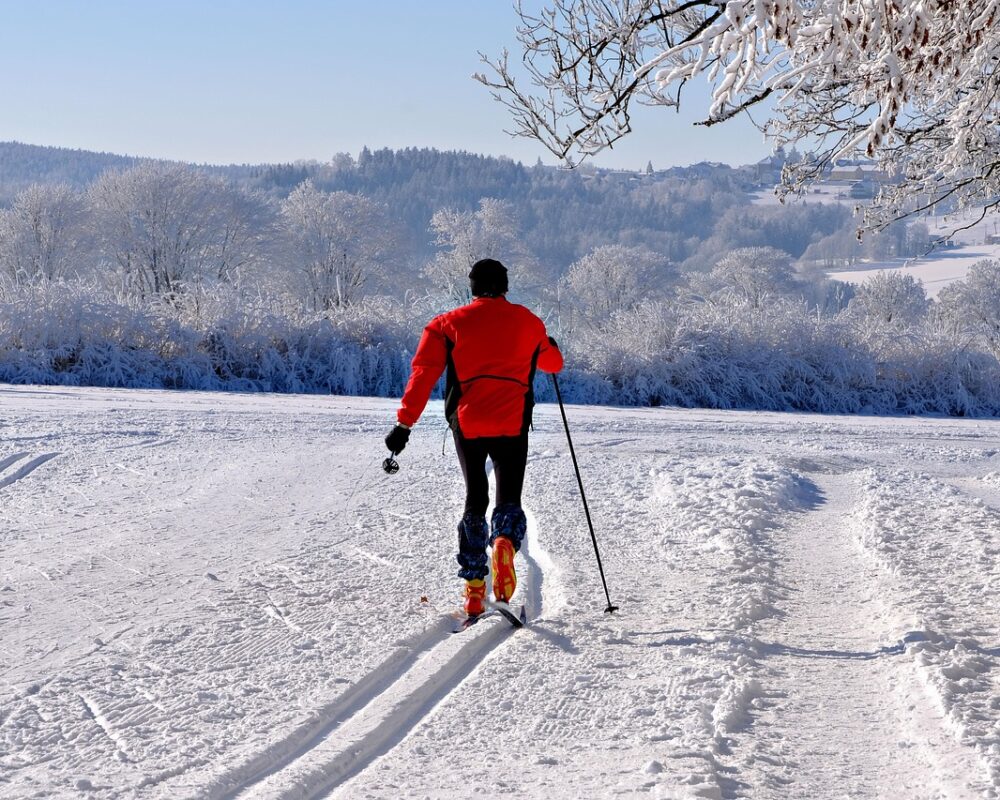 Effektiv och glädjefylld träning med lekfullhet - Bild.