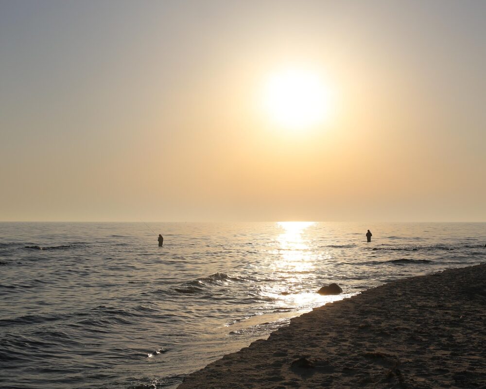 Främja hälsa och välmående genom digitala och naturliga strategier - Bild.