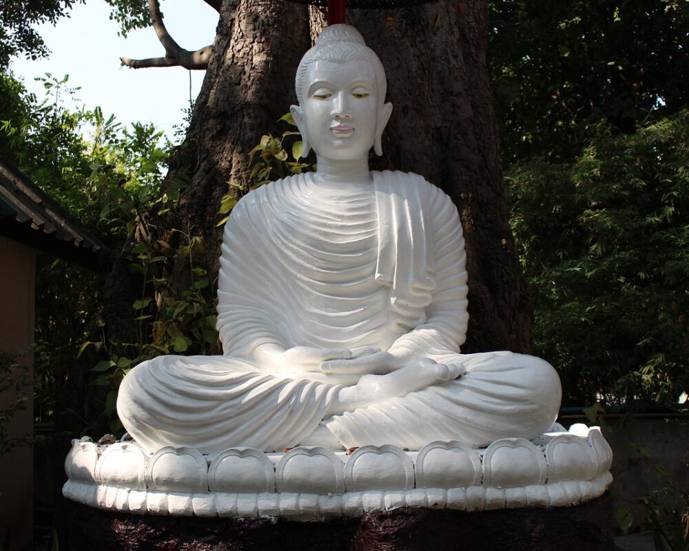 Vägen till ett balanserat liv med mindfulness och rörelse - Bild.